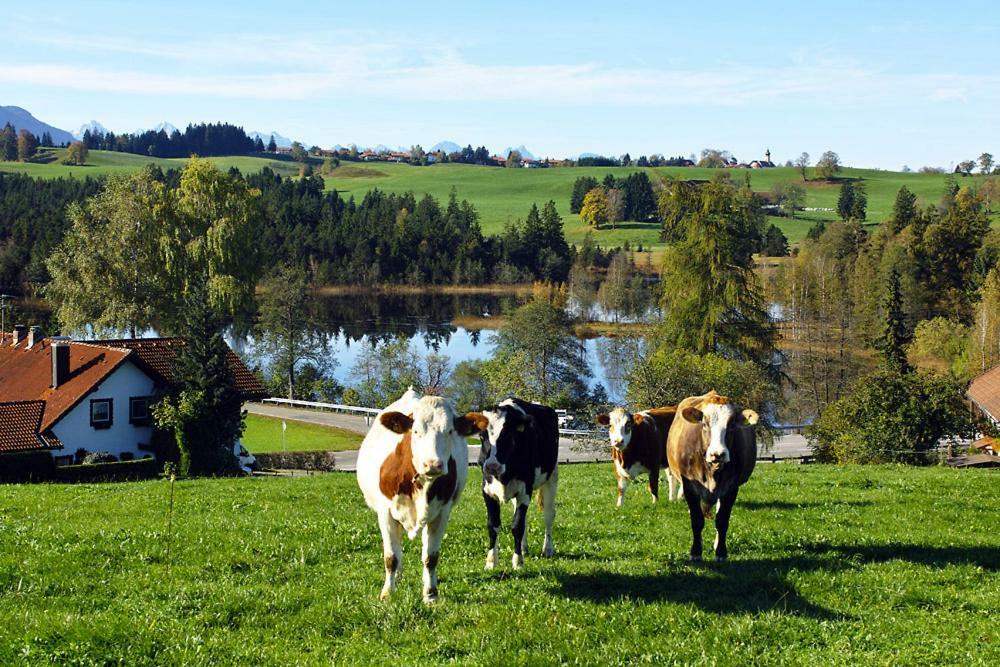 Gasthof "Zum Strauss" Wildsteig Exteriér fotografie